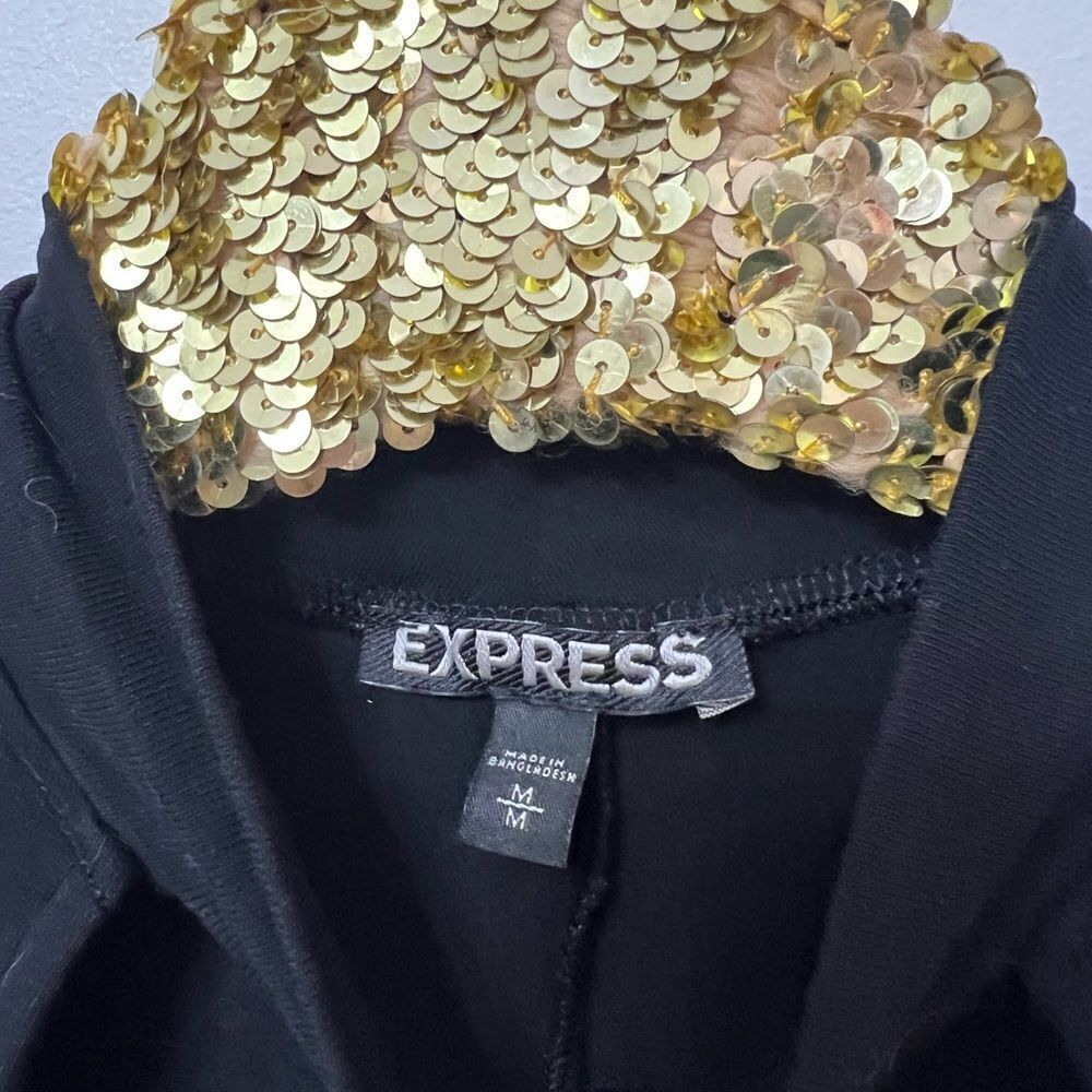 Express Dress - Picture 3 of 5